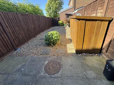 Picture 6